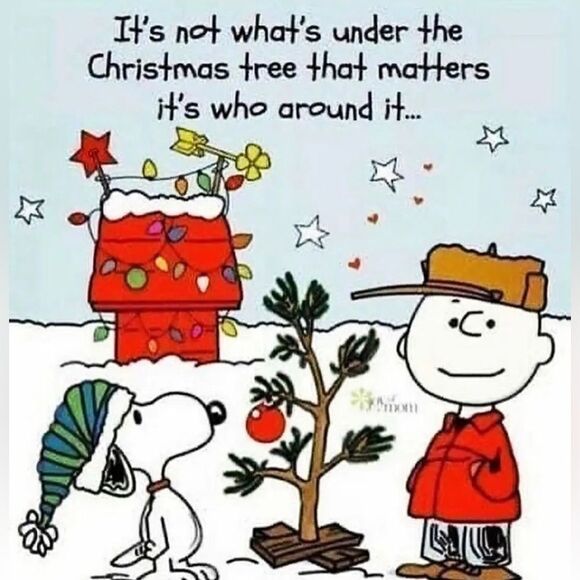 CYNTHIA ROWLEY New York “Hope Peace Joy” Christmas Tree Skirt 50” NWT - Picture 2 of 10